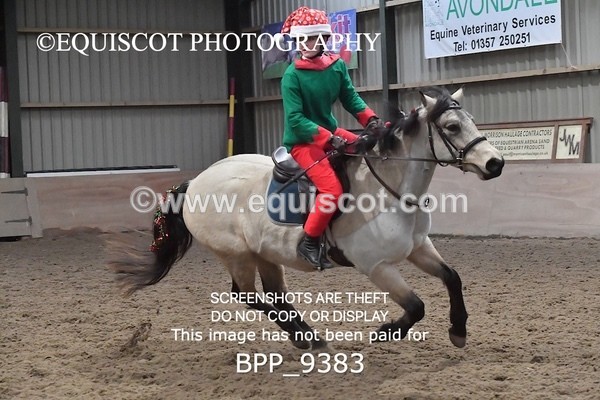 BPP_9383 - CLASS 5 60CM Progressive Show Jumping