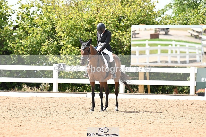 250815-131812-01415 - 005-Patricia.HaskinsGaelic.Surprise