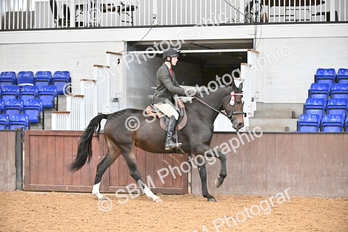 SBM_002342 - Class 22 - BSHA Ridden Hack & Riding Horse