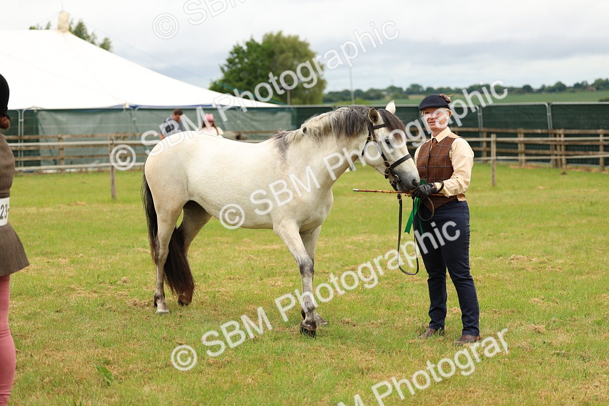 SBM_04120 - Class 64-67 - Shetland Pony In Hand