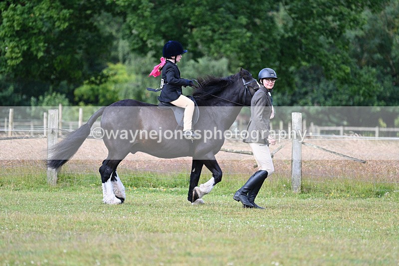 WJ7_4383 - Class 1 Lead Rein Pony