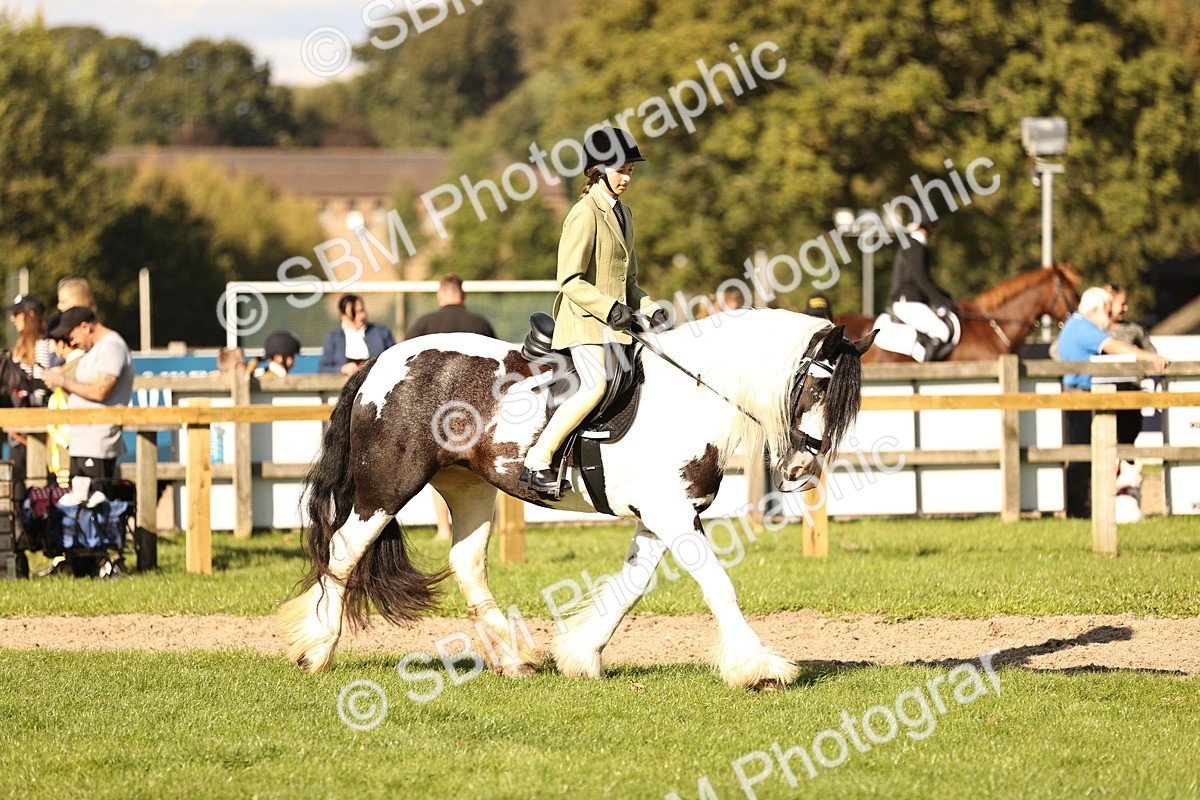 SBM_26436 - S6 - Novice & Newcomers Ridden Horse