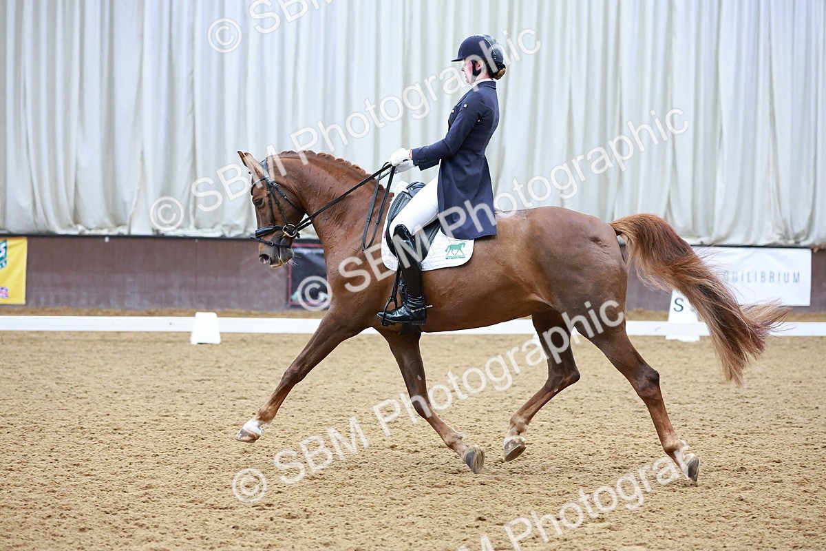 SBM_001160 - Class 12-19-16 - Lusitania-FEI INT I - PYO ADV 1