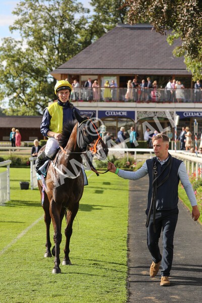 yr19082022r7-45 - Race 7 5.20pm Sky Bet Mile Stakes