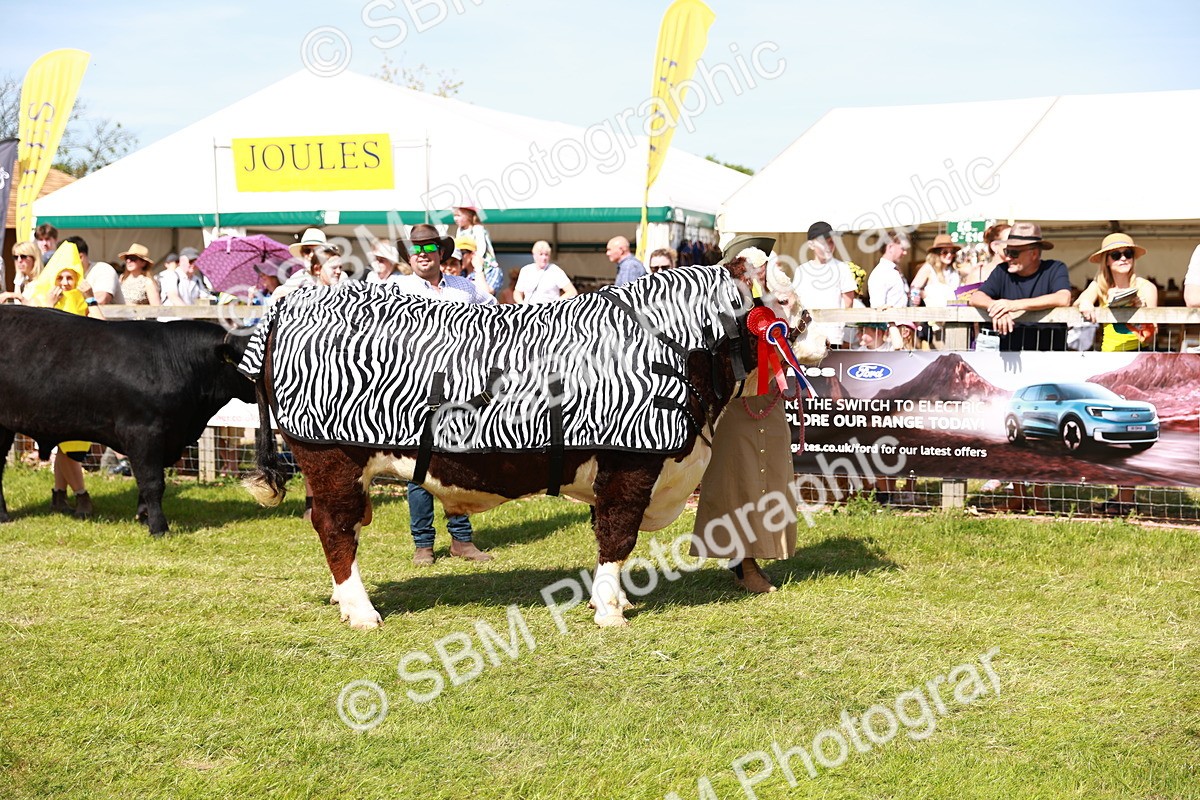 SBM_08349 - Grand Parade