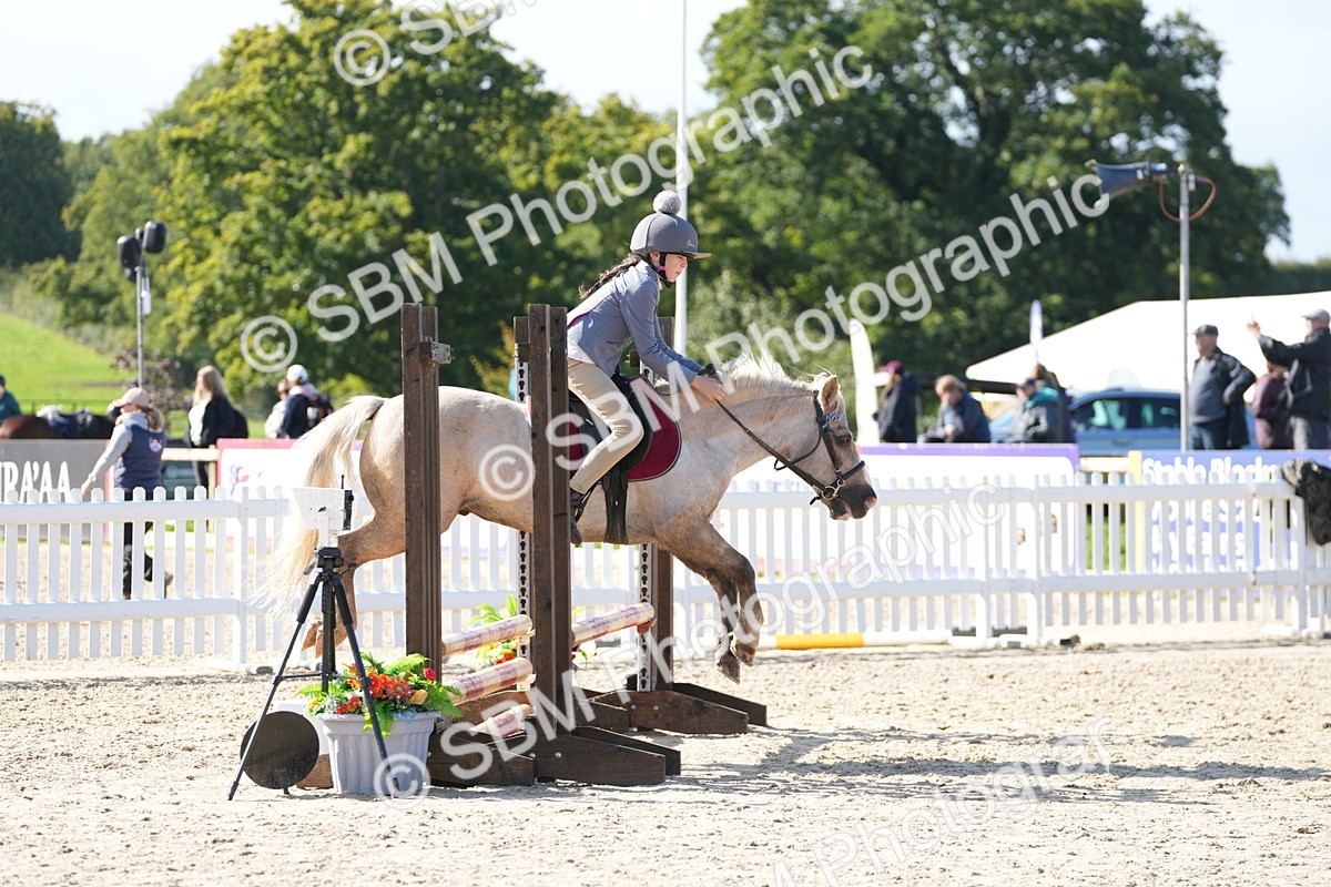 SBM_38308 - J6 - Junior Pony 55cm Championship