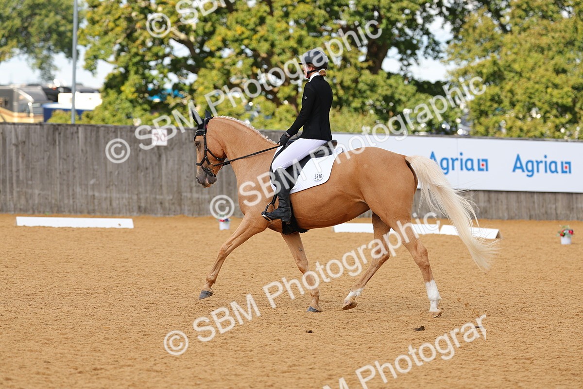 SBM_40284 - D14 - Grand Tour Championship - Prelim 14