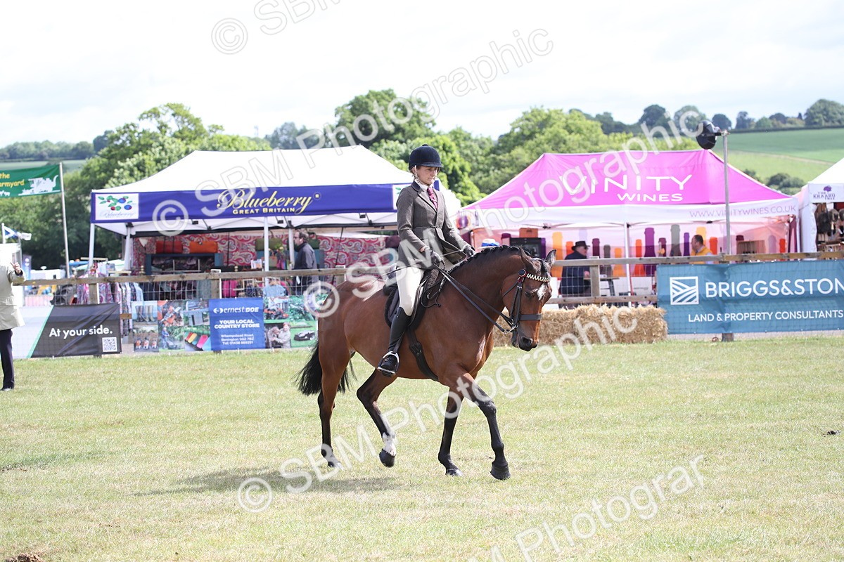 SBM_13224 - Class 95-96 - LIHS BSHA Rising Star Hack Riding Horse
