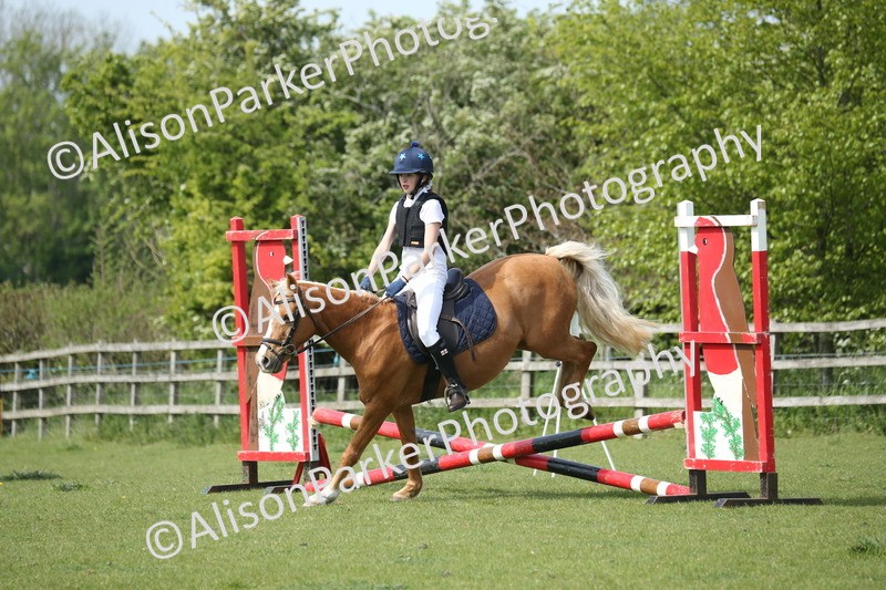 20260426-1605 - Class 14 - Novice 60cm