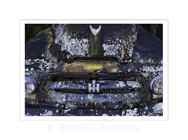 Lichen International Harvester Truck: Autographica Series - AUTOGRAPHICA: Faded Glory