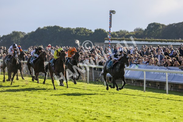 141023-Race 5-Certain Lad-0527 - Race 5 3.35pm Coral Racing Bet Bundles Handicap