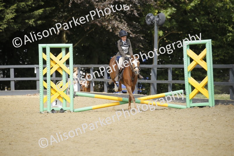 20250622-3654 - 50cm