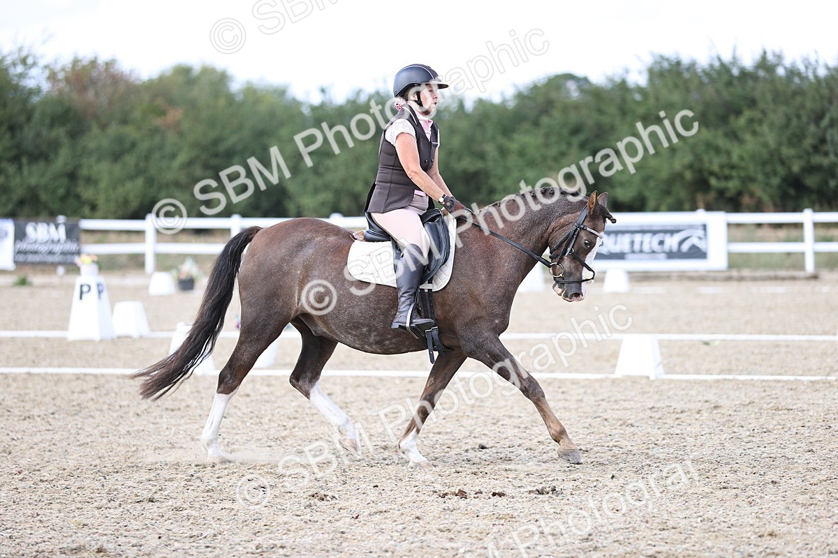 SBM_015961 - Class 5 - E5 Bronze  16.18.17.22