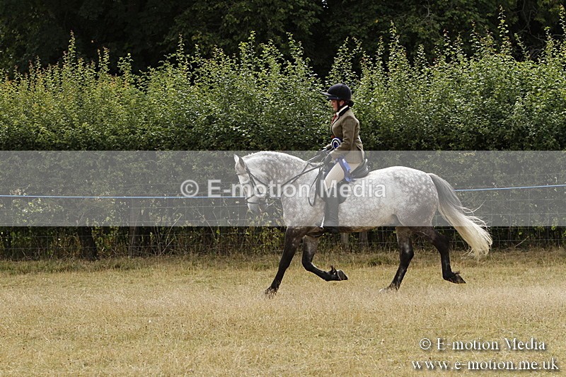 _BS_1042 - Working Hunter Championship BVRC Show 2018