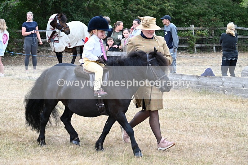 WJ7_8502 - Class 4 Prettiest Mare up to 14.2hh