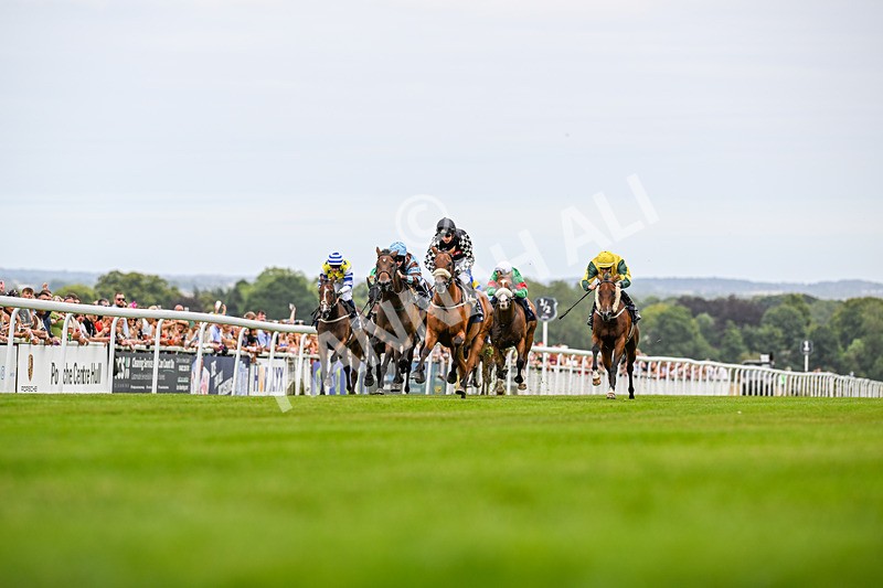 140824-Race 3-King Sharja-3533 - Race 3