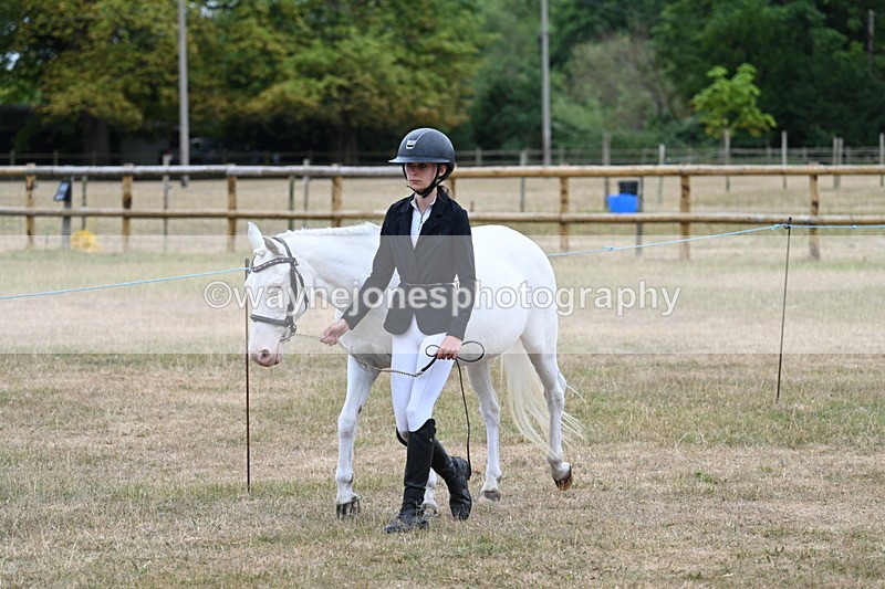 WJ7_8021 - Class 4 Prettiest Mare up to 14.2hh