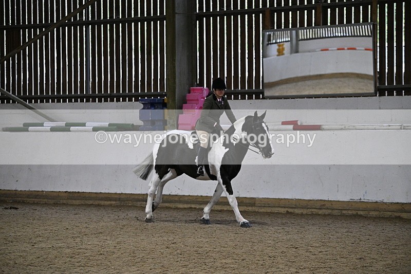 WJ7_4398 - Class 17 Ridden Cob