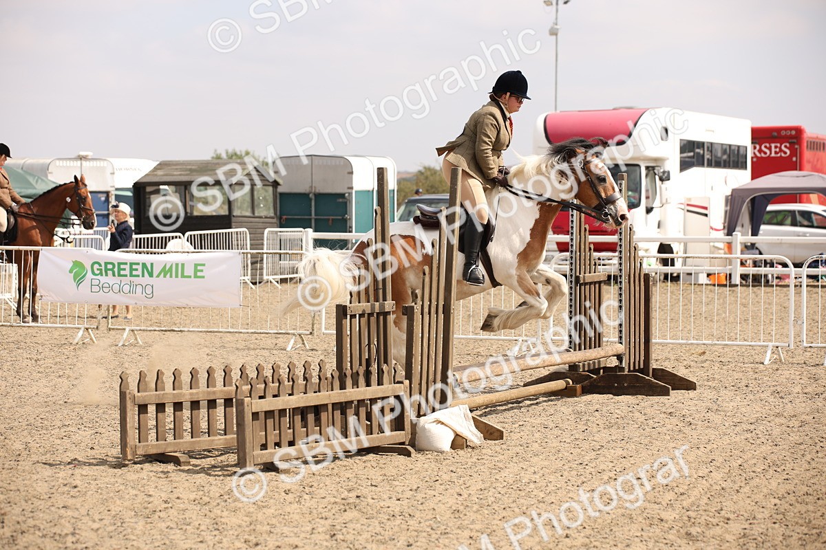 SBM_14281 - Class 407b - Working Veteran 60cm (20+)