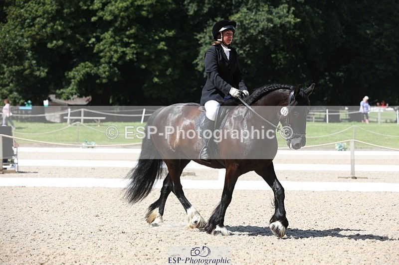 230811-120645-00995 - Cls 1 Prelim Bronze 11.10 to 12.35 break