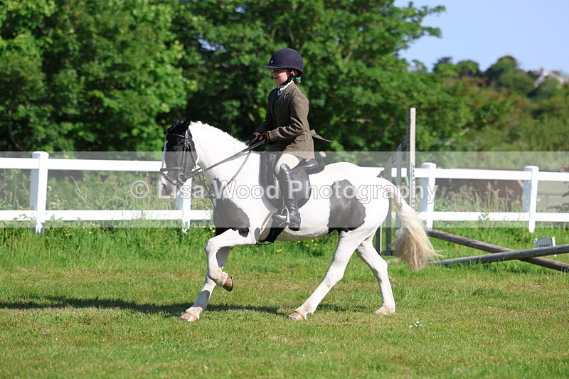 3E7A5992 - Class 27: Novice Working Hunter Pony