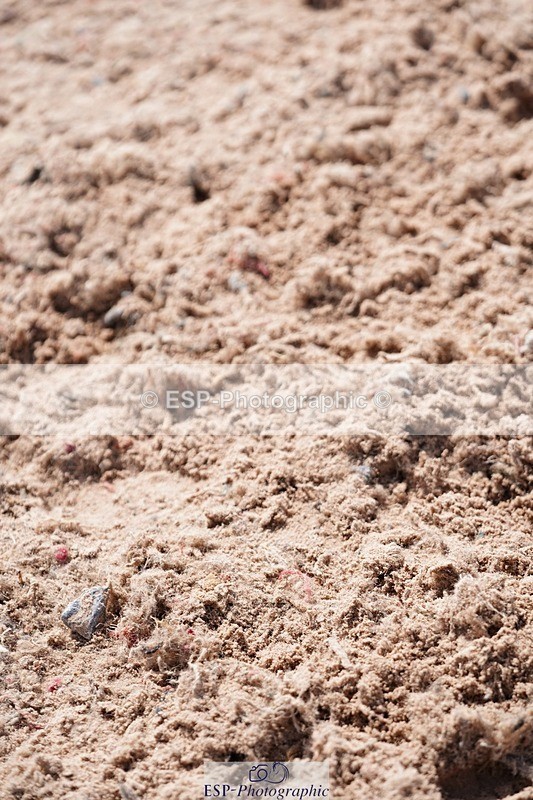 250511-142016-14246 - Cls 34 1.05m Amateur Quali