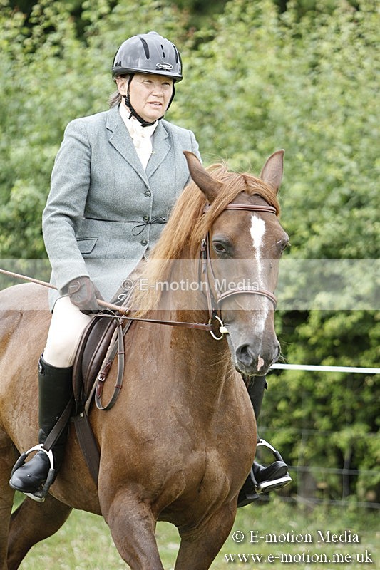 BVR160717-384 - Ring 3 BVRC Show 16/07/17