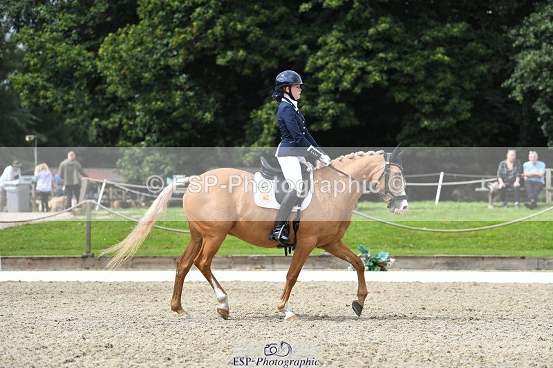 230812-123830-04164 - Cls 6 Novice Silver 12.10 to End