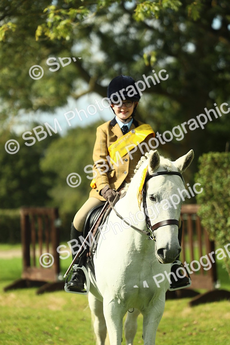 SBM_44996 - Working Hunter Pony Supreme Championship