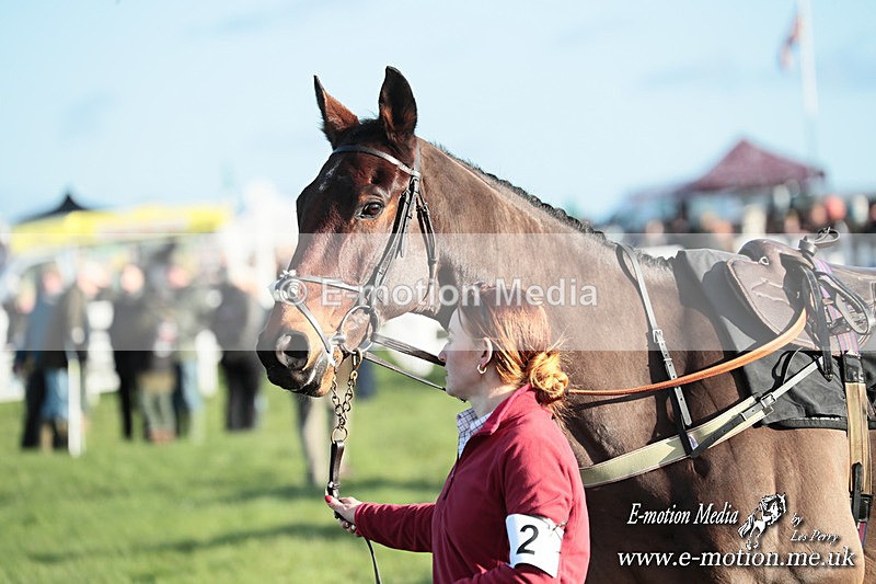 PtP 301125  0213 - Hursley Hambledon Point-to-Point Larkhill Racecourse 30/12/2025