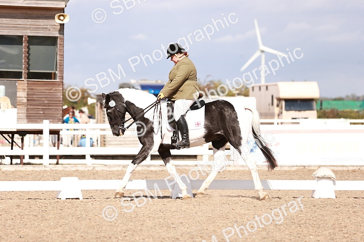 SBM_06617 - Class 39 - Medium 3