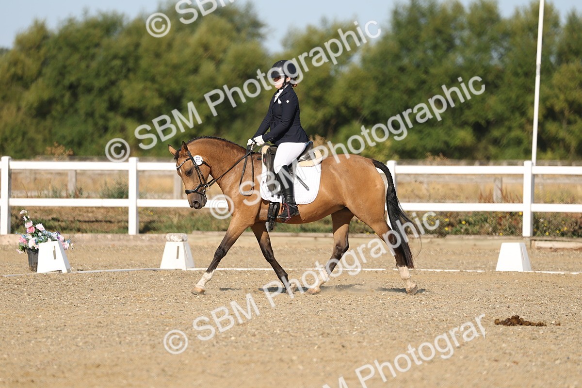 SBM_012607 - Class 1 - P5 Bronze 9.00.10.12