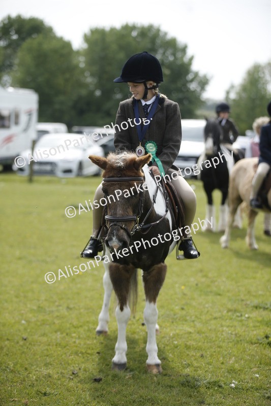 20260426-1966 - Class 8 - Prettiest Mare