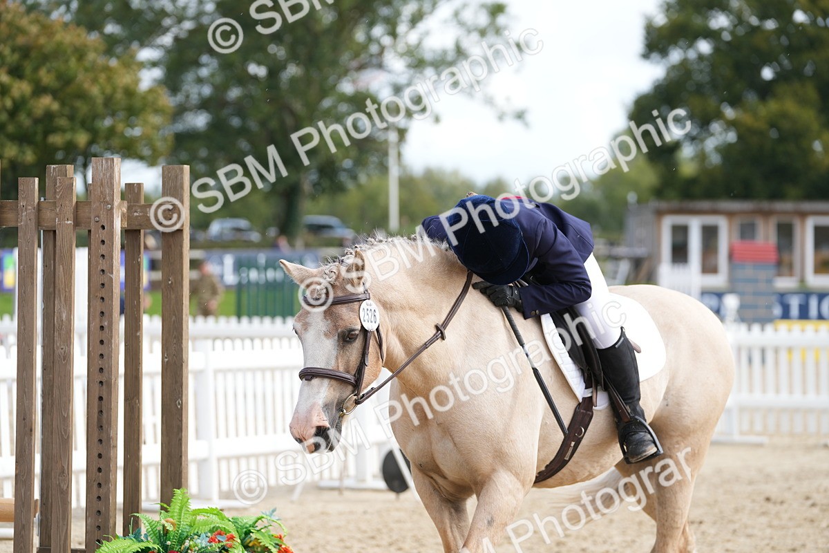 SBM_48515 - J7 - Junior Pony 60cm Championship