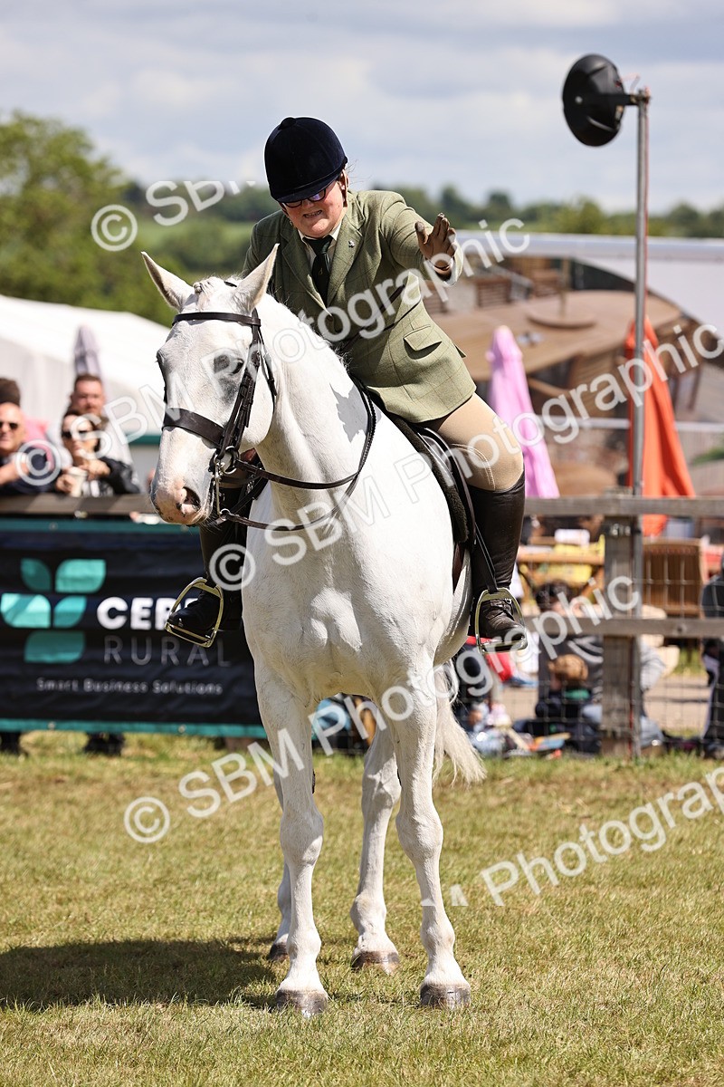 SBM_14755 - Class 88-89 - LIHS BSHA Rising Star of Ridden Hunter Type