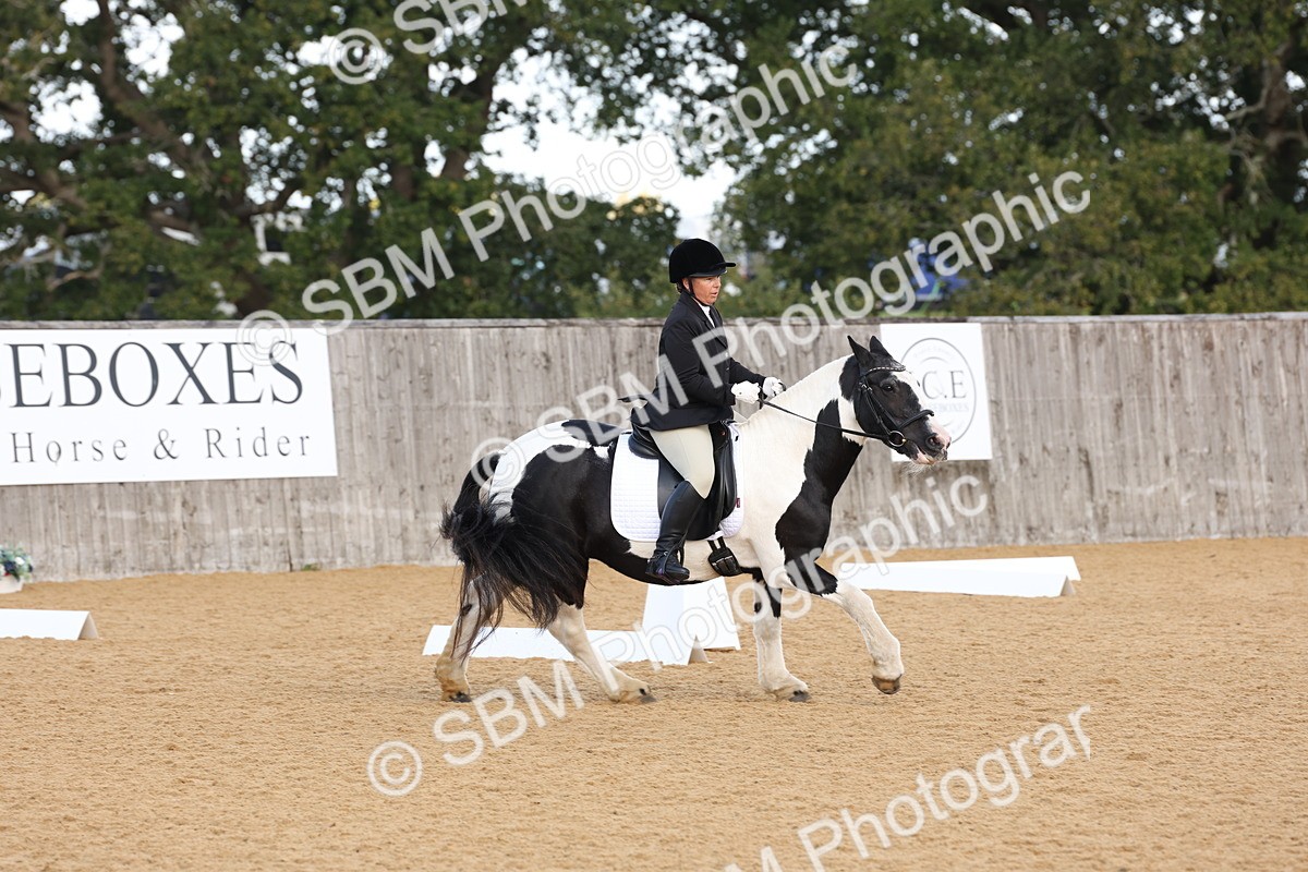 SBM_16216 - D10 - Small Tour Championship Prelim 2