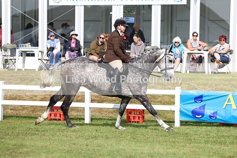 3E7A8858 - Class 3: Rising Star S/L Hunter