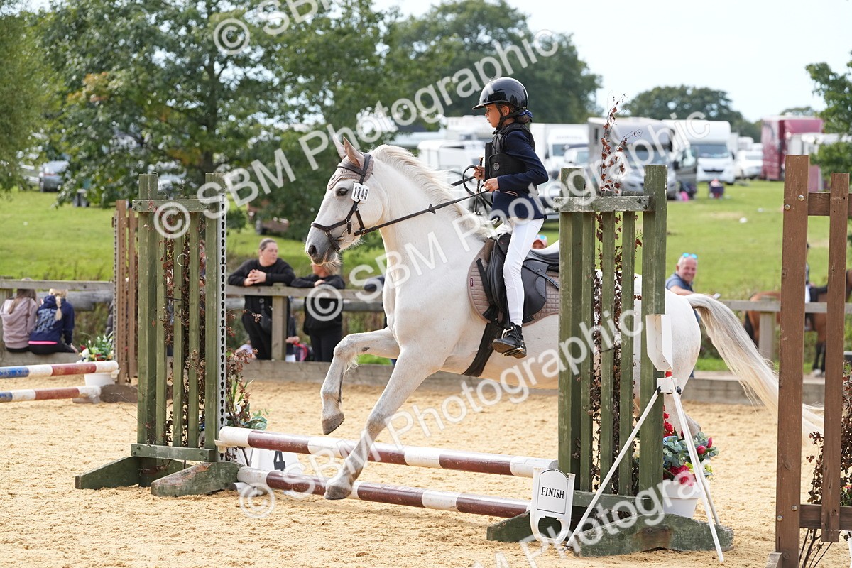 SBM_70542 - J3 - Mini Tour Junior Pony 40cm Championship