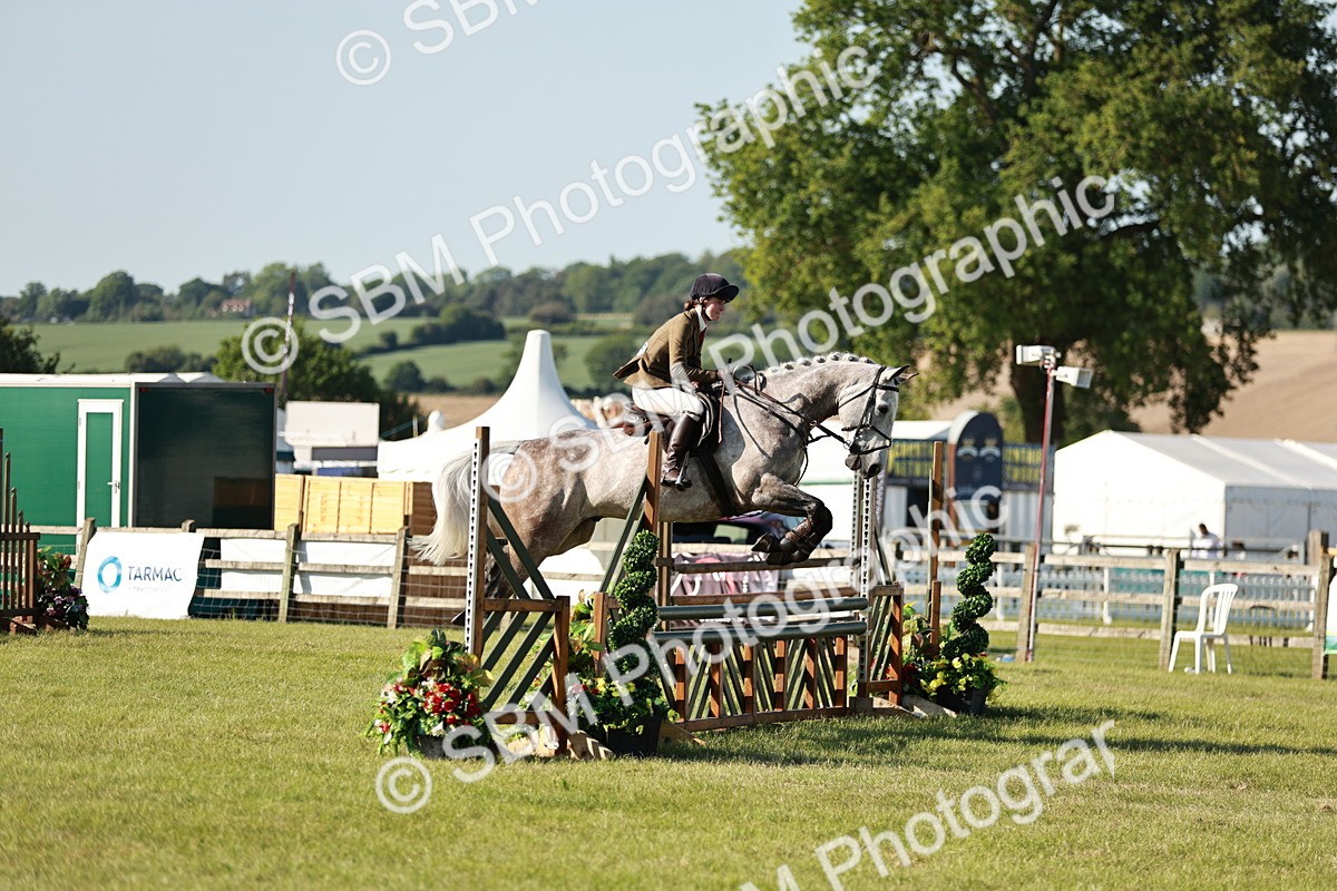 SBM_19946 - Class 115-116 - LIHS BSHA Rising Star Working Hunter & Show Horse