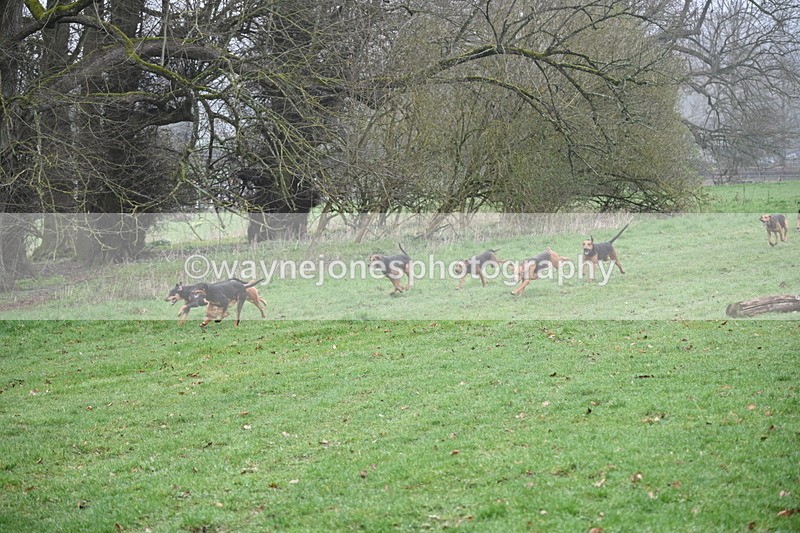 WJ6_9869 - Line 1 cam B