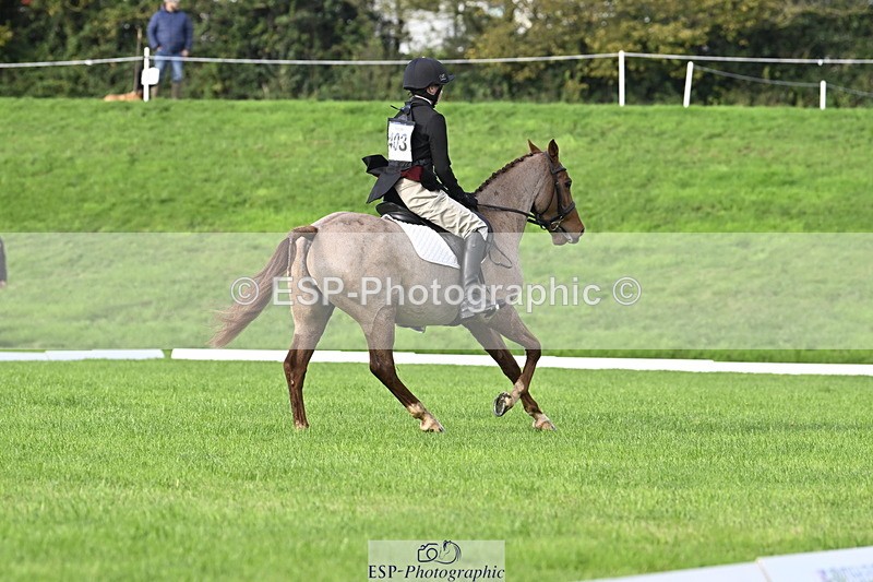 251023A-102126-02831 - F-403-Hugo.Moor