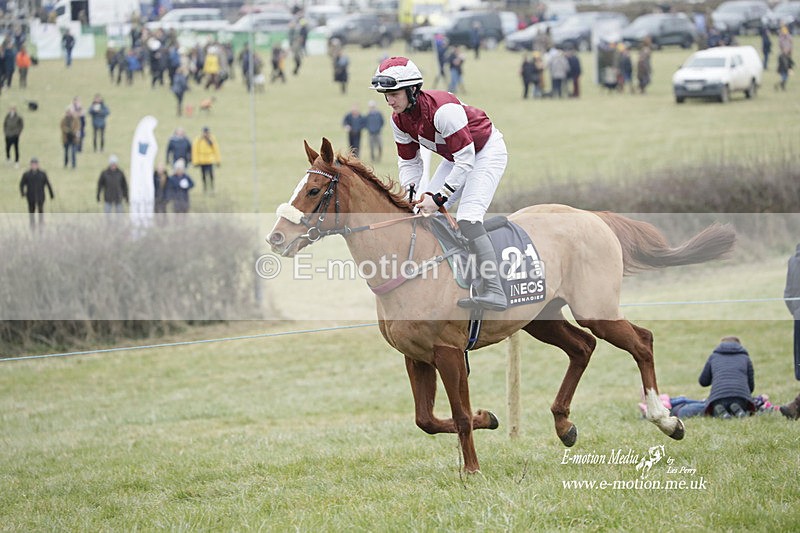 PtP 040323 441 - Duke of Beauforts Hunt Point-to-Point Didmarton 04/03/23