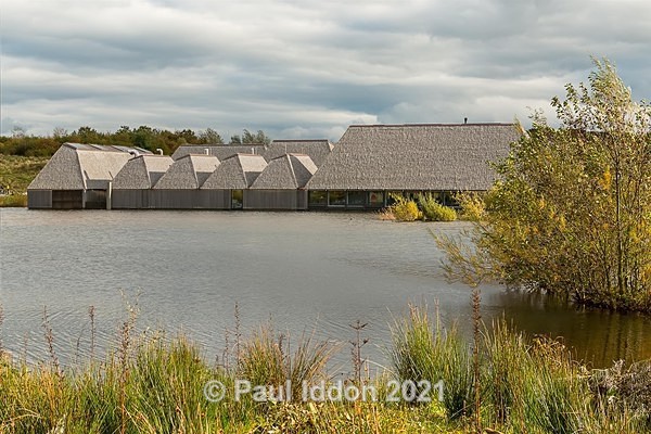 Brockholes 01 - Landscapes