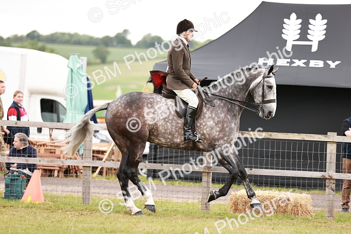 SBM_10917 - Class 81-84 - RIHS Ridden hunters Inc Ladies Hunter