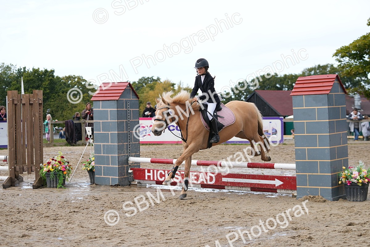 SBM_40028 - J6 - Junior Pony 55cm Championship