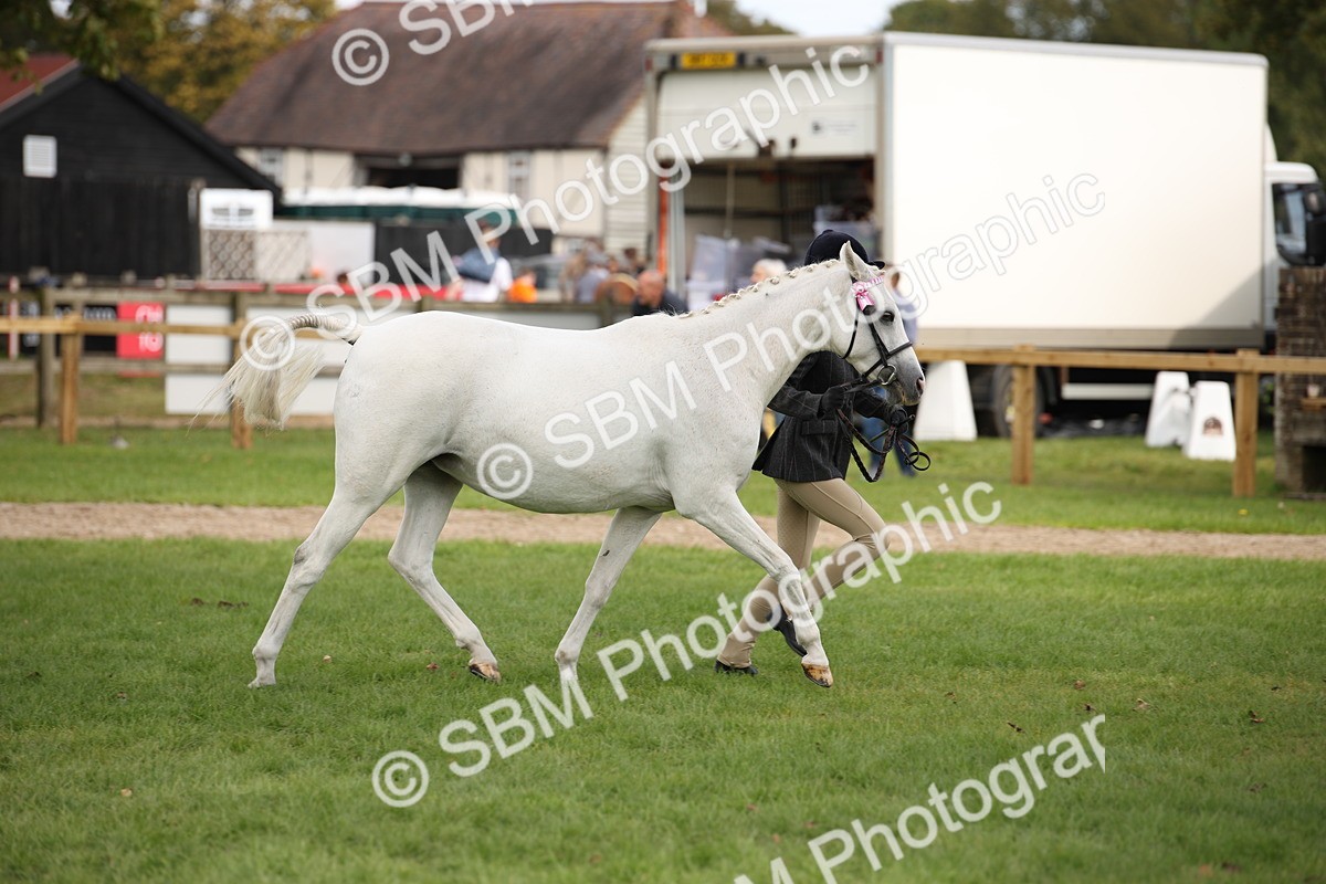 SBM_44502 - S24 - Young Veteran in hand