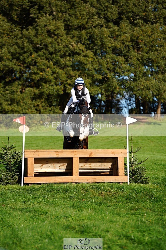 241026-103652-11968 - 331-Amber.Williams-COSMIC.MIKADO