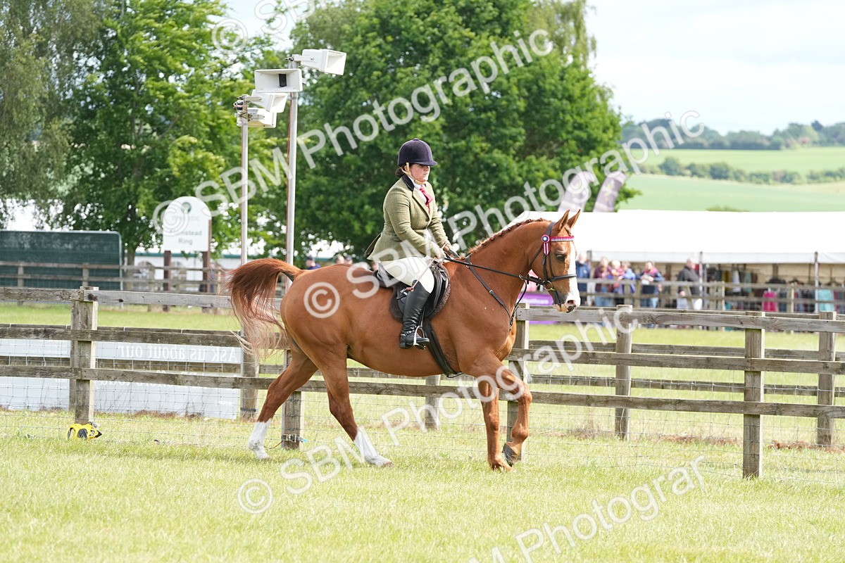 SBM_12924 - Class 99 - RIHS SEIB Working Show Horse