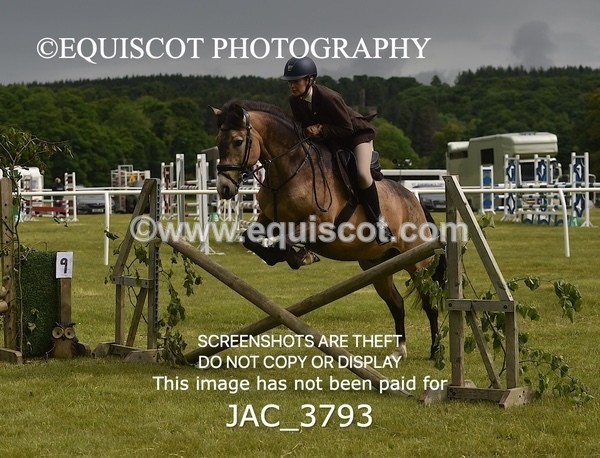 JAC_3793 - 65cm WORKING HUNTER