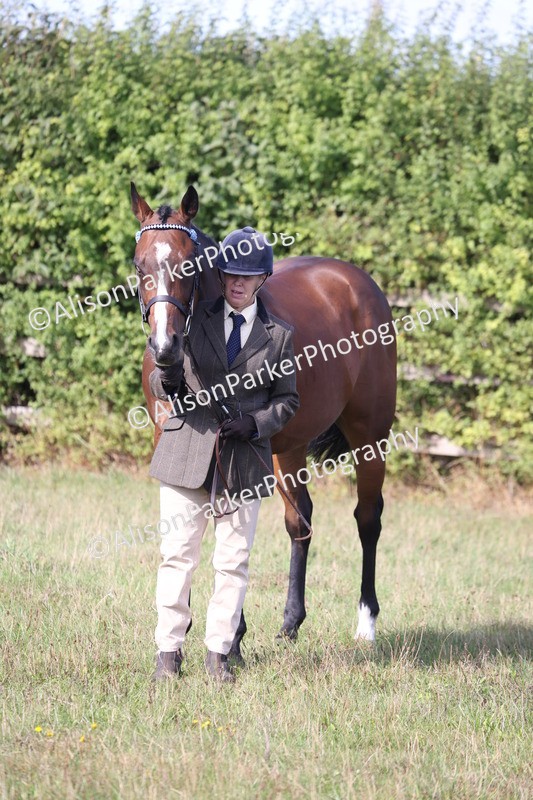 20260906-0674 - Class 22 - Ex Racehorse